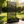 Leaf Pattern Privacy Screen with Planter Box