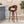Modern Bar Stool with Swivel Function