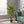 Artificial Palm Tree by House of Zazla