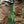M-Tac Boot Gaiters Elite