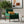 Cole - Solid Wood Lounge Chair