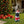 Festive Black Poodle Christmas Statue