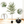 6FT Artificial Olive Tree in