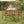 U_STYLE 5-Piece Outdoor Dining Set with Acacia Wood Chairs