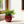 Handmade Ceramic Flower Pot Set of 3