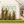 2 Pack Metal Garden Trellis 86.7