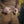 M-Tac Cobra Buckle Tactical Belt