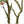 7Ft Artificial Bougainvillea Tree with Realistic Rose
