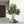 7FT Artificial Willow Tree Indoor Faux Greenery Plant