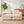 Boneless Foldable Floor Sofa Bed with Armrest & Pillows