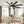 Large Ceiling Fans With Lights And Remote, Indoor / Outdoor Modern Ceiling Fan For Kitchen Living Room Patio, 6 Speed Reversible Quiet DC Motor, Dual Finish 8 Blades - Black