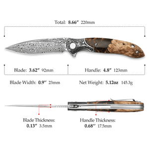 Demeter VG10 Damascus Pocket Knife with Exotic Olive Burl & Resin Handle - TRAPSKI