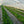 DeWitt Weed Barrier Pro 3oz 4' x 100' Weed Barrier Landscape Fabric Ground Cover