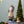 Christmas Gnomes Decorations, Christmas Table Home Ornaments For Holiday Party Gifts (Set of 2) - Beige / White