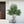 7FT Artificial Willow Tree Indoor Faux Greenery Plant