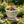 MGO Garden Planter - Rust Finish