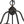 Malin Entry 4-Light Chandelier