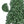 7FT Artificial Christmas Tree with 774 PVC Tips, Hinged Structure & Metal Stand – Full