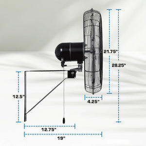 Hurricane 20 Inch Pro Commercial Grade Classic Oscillating Wall Mount Fan, Black