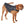 Dog Down Reversible Mock Jacket
