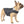 Dog Down Reversible Mock Jacket
