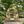 Double Benches Swing for Patio