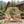 Double Benches Swing for Patio