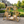 Double Benches Swing for Patio