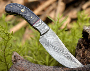 Draco Hunting Knife with Pakkawood Handle - TRAPSKI