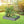 Outdoor Raised Garden Bed Planter with Tool-Free Assembly - Dark Gray