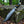 Crocodile Dundee Knife Replica | D2 Steel Blade | Black Micarta Handle