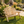 Durable Outdoor Wooden Bench
