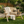 Durable Outdoor Wooden Bench