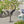 Sunny Outdoor 39 Inch Aluminum Crane, Shiny