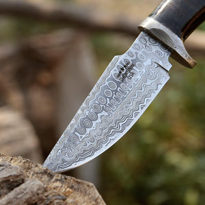 Dynasty Damascus Hunting Knife with Bone Handle - TRAPSKI