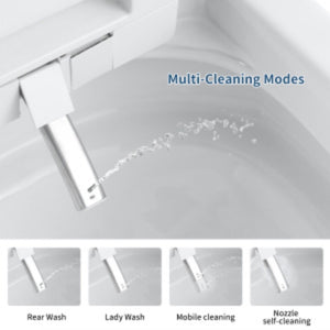 Tankless Smart Toilet With Bidet Built In, 1 Piece, Auto Flush, Auto Open / Close, Heated Seat, Bubble Wash, Warm Water And Dry, Adjustable Temp, Remote Control Side Know - White