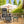 2Pcs Foldable Camping Table Portable Picnic Table Lightweight Travel Desk with 2 Cup Holders/Table Carrying Bag