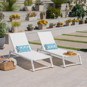 Myers Modern Chaise Lounge Set With Adjustable Back