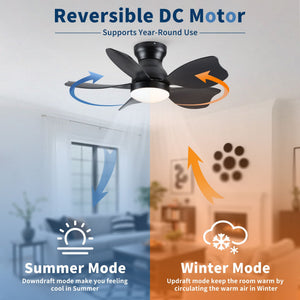 Low Profile Flush Mount Ceiling Fan With Light