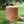 Evie Outdoor Patio Round MGO Side Table Brown