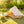 Oxford Bell Tent 13.1FT with Stove Jack for Family Camping