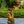Decorative 3 Tier Tree Trunk Fountain With Lights And Pump - Brown