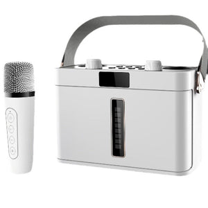 Outdoor Bluetooth Speaker Karaoke Double Microphone Classroom Teaching Meeting Party