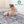 PAYAS Collection Rugs