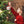 4ft Premium PE & PVC Artificial Christmas Tree