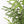 4' Artificial Real Touch Pine Tree