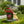 Sitting Corgi Dog Planter Outdoor Decor