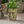 Garden Urn Planter