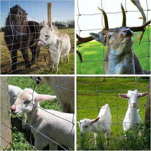 Farm Fence 4ft x 164ft 14-Gauge Heavy Zinc Coated Wire Fencing