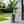 Planter For Outdoor